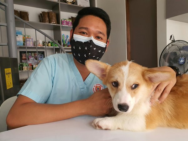 Quelles sont les meilleures techniques pour les entreprises de services de garde d'animaux pour gérer les urgences médicales ?